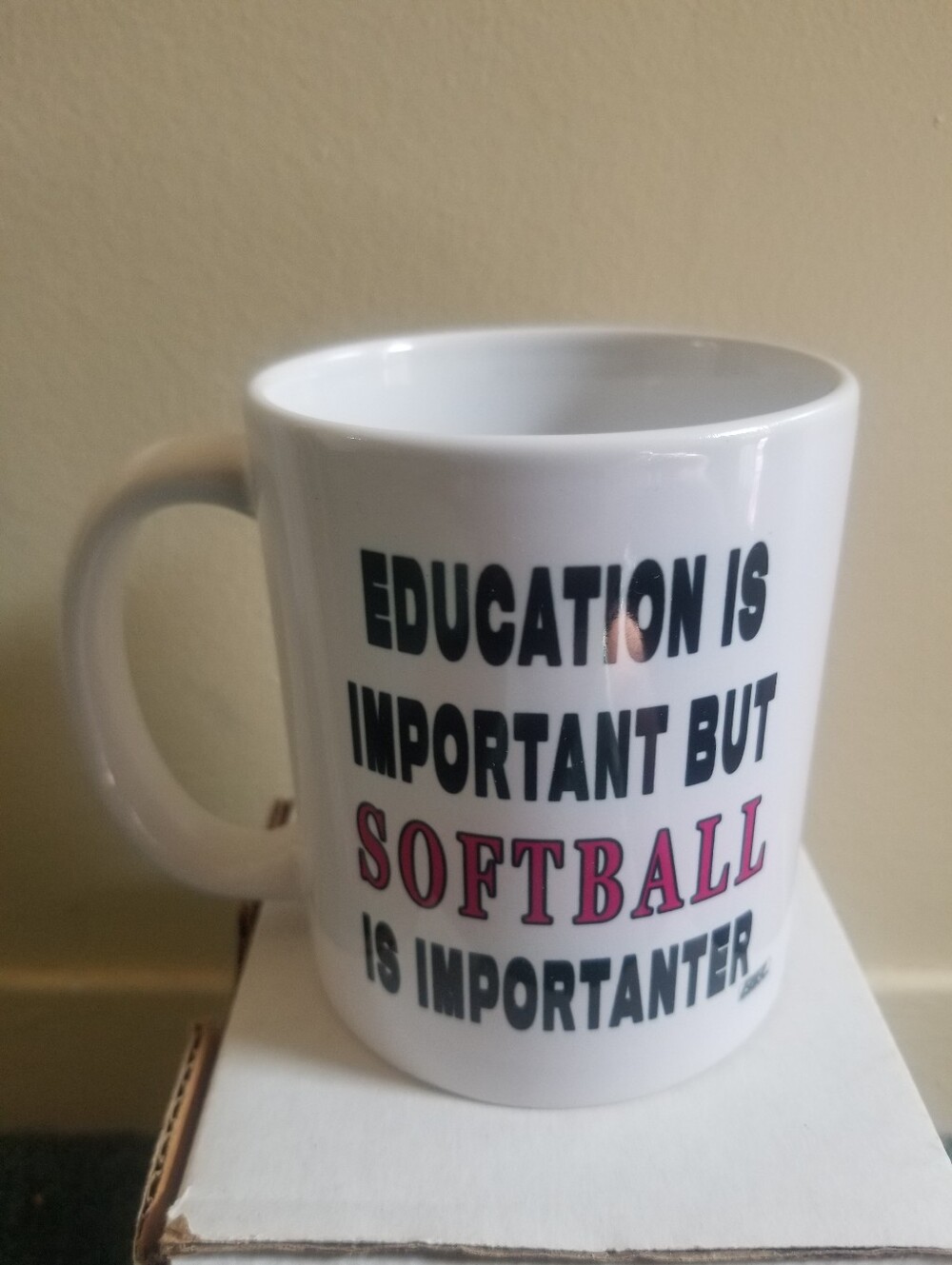 Funny Sarcastic White Coffee Mug - Gift Idea For Softball Player